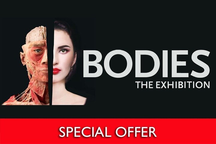 Bodies The Exhibition Tickets at the Luxor Hotel and Casino - Photo 1 of 17